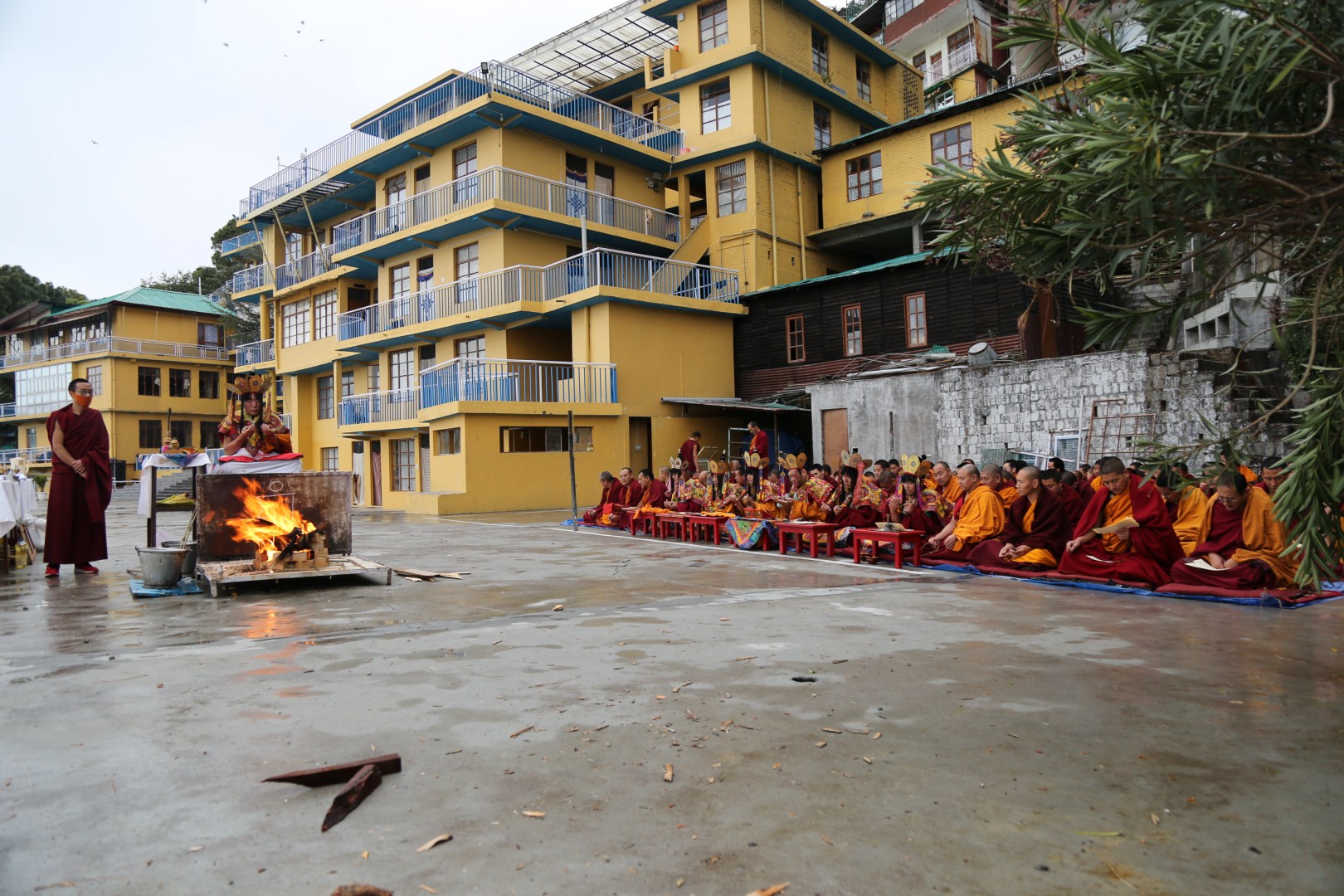 IMG 2665 Desktop Resolution