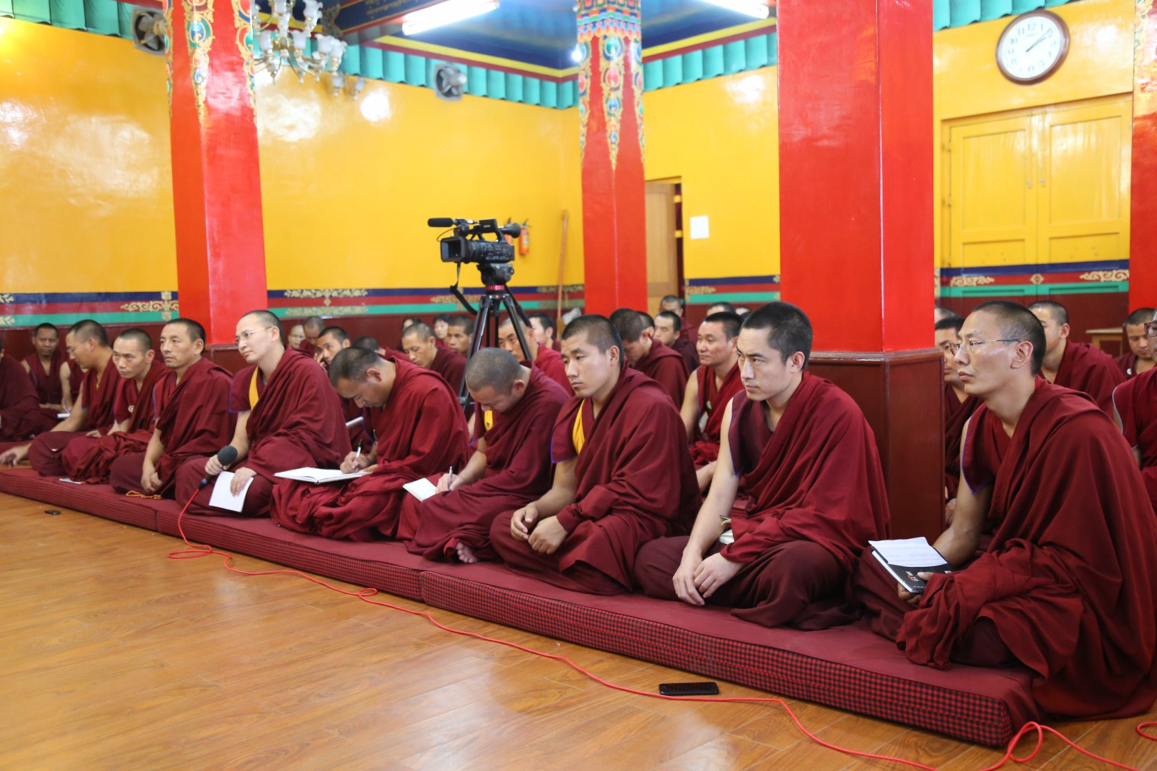 IMG 8040 Desktop Resolution