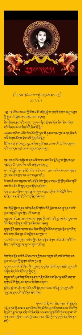 IMG 2536 Desktop Resolution