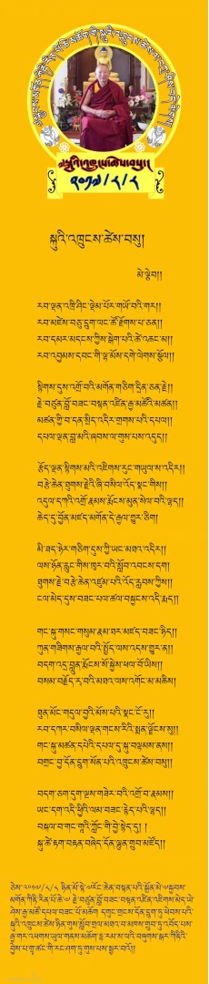 IMG 2541 Desktop Resolution